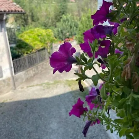 펜션 Charming 2-bed House In Strevi
